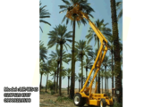 بالابرنخل